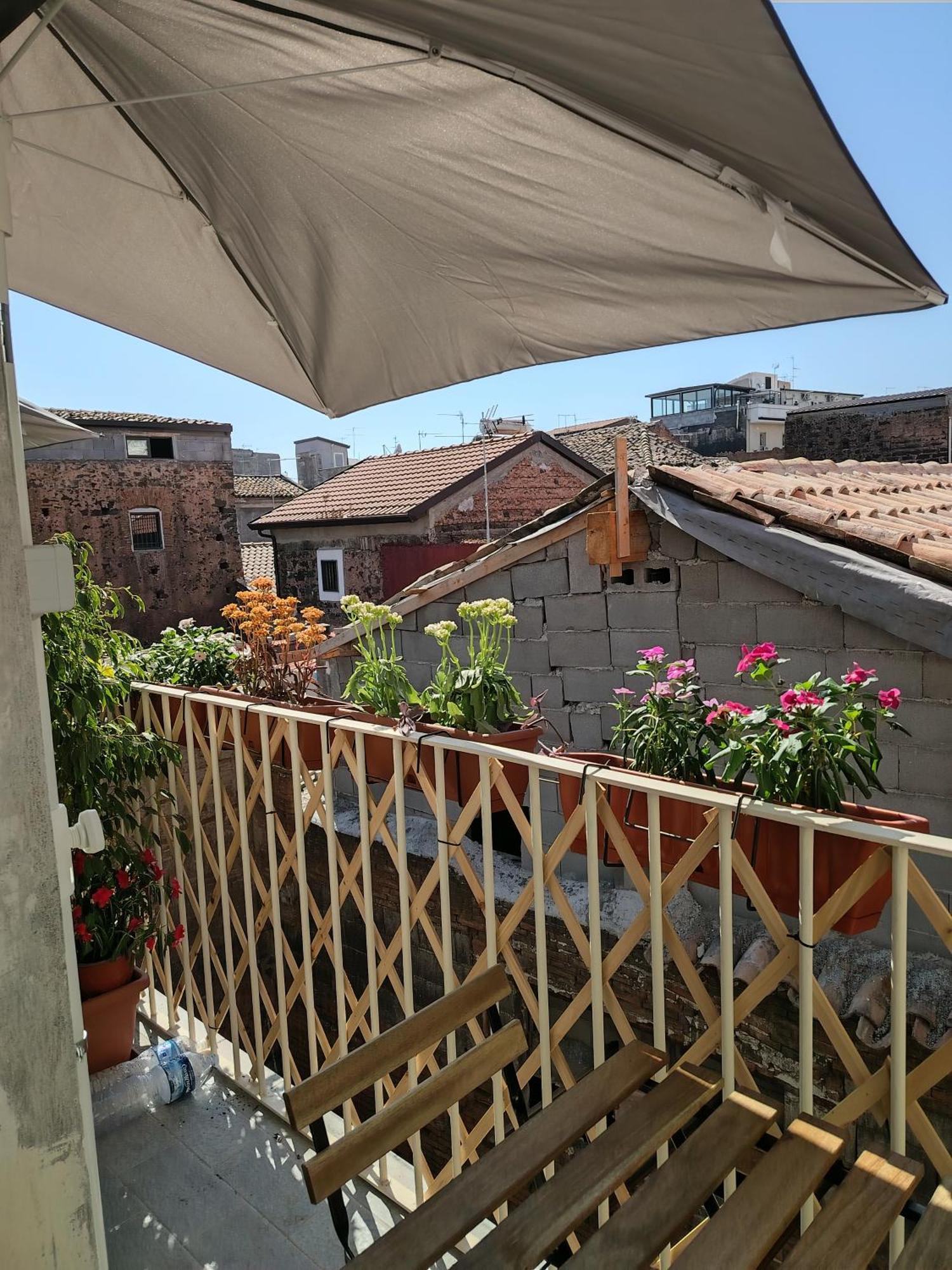 Guest house Carmen House *