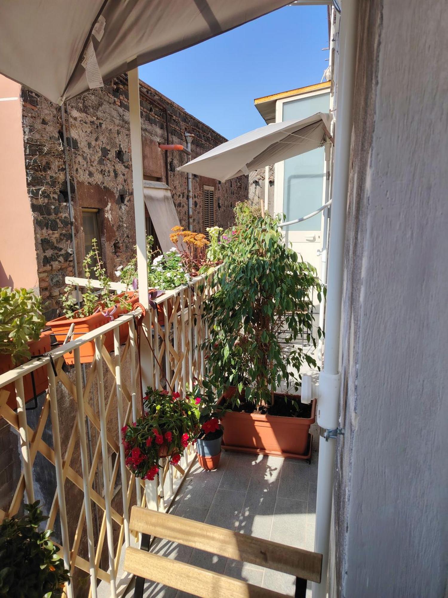 Carmen House