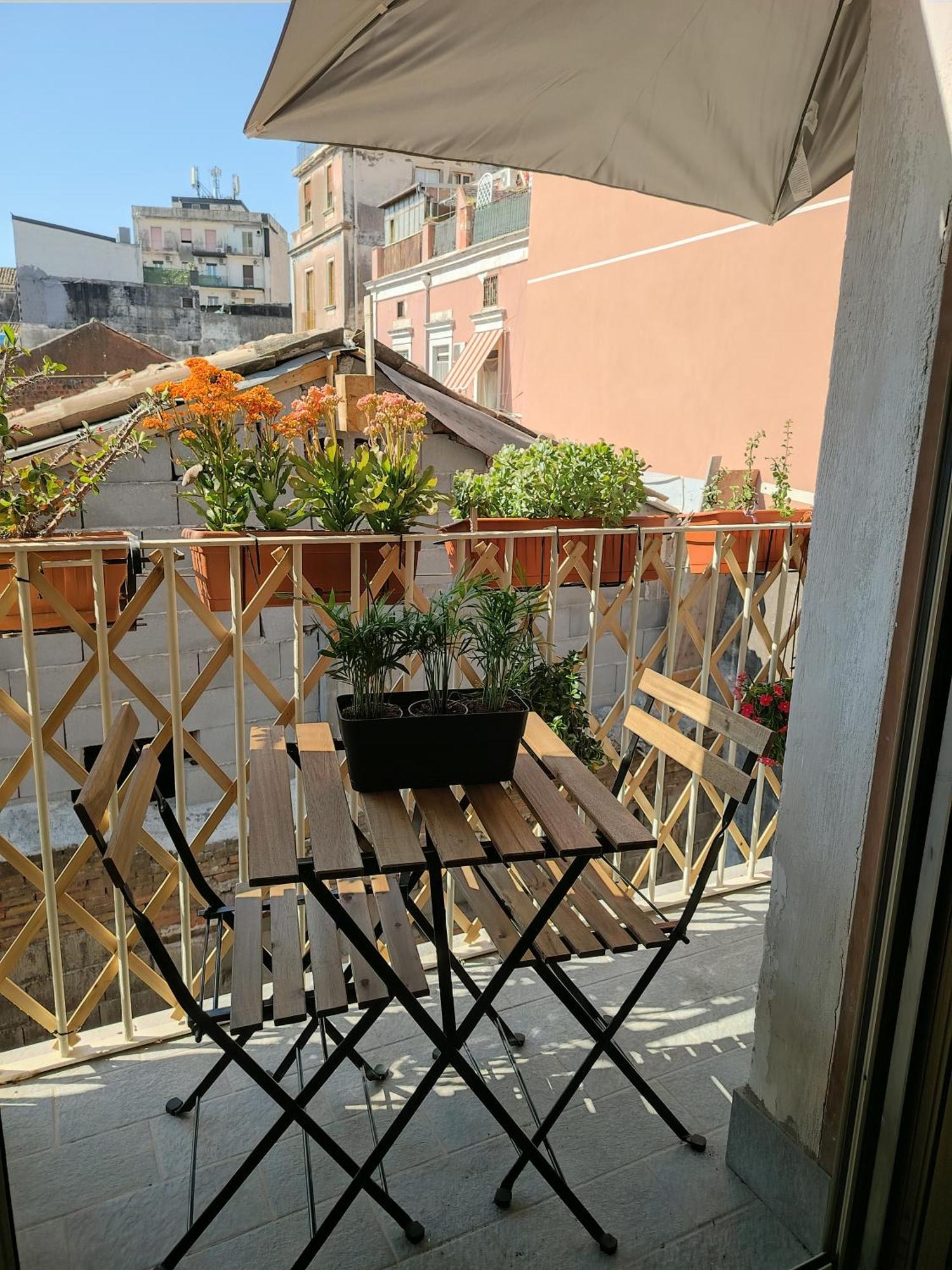 Carmen House