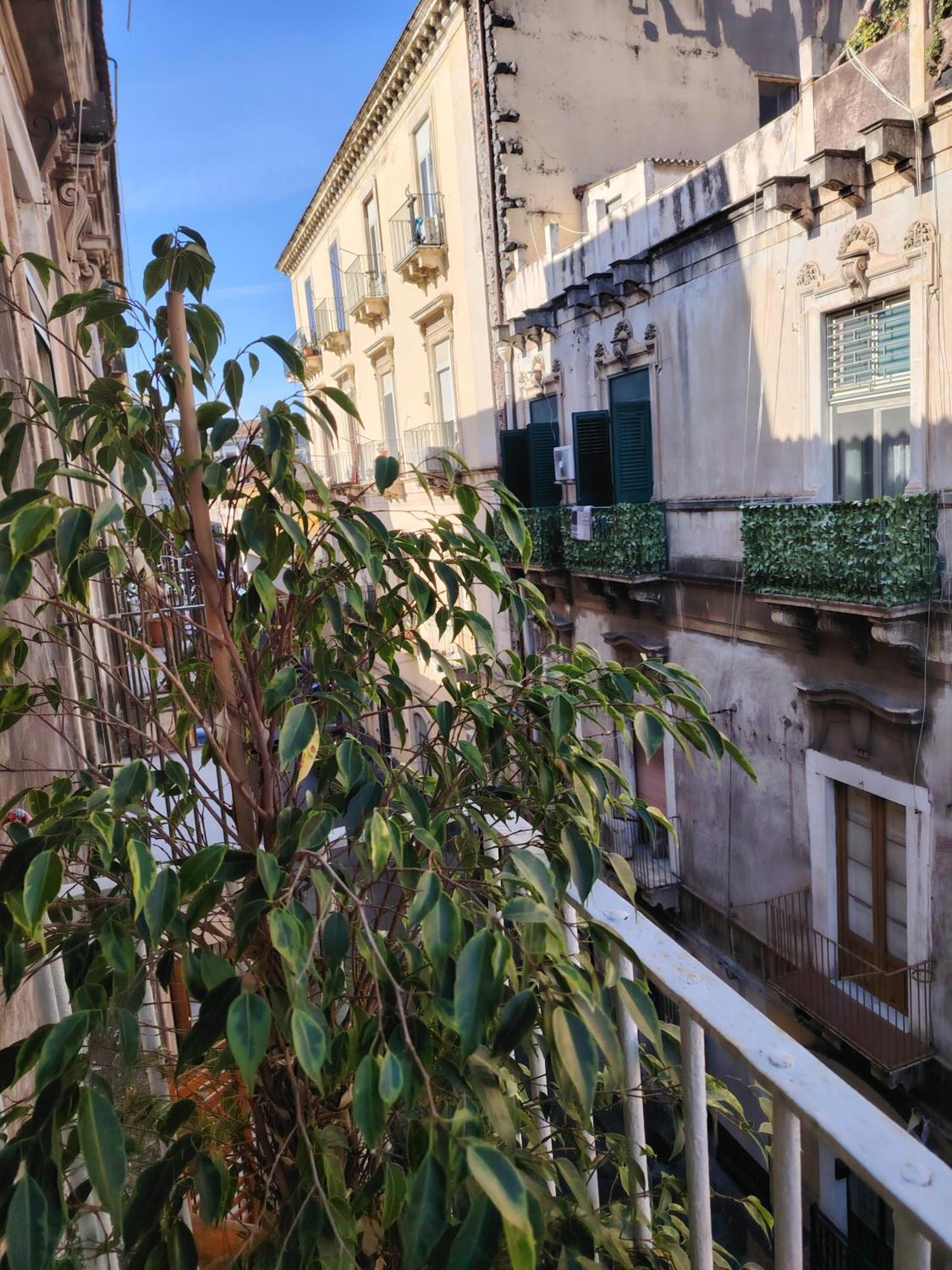 Maison d'hôtes Carmen House *