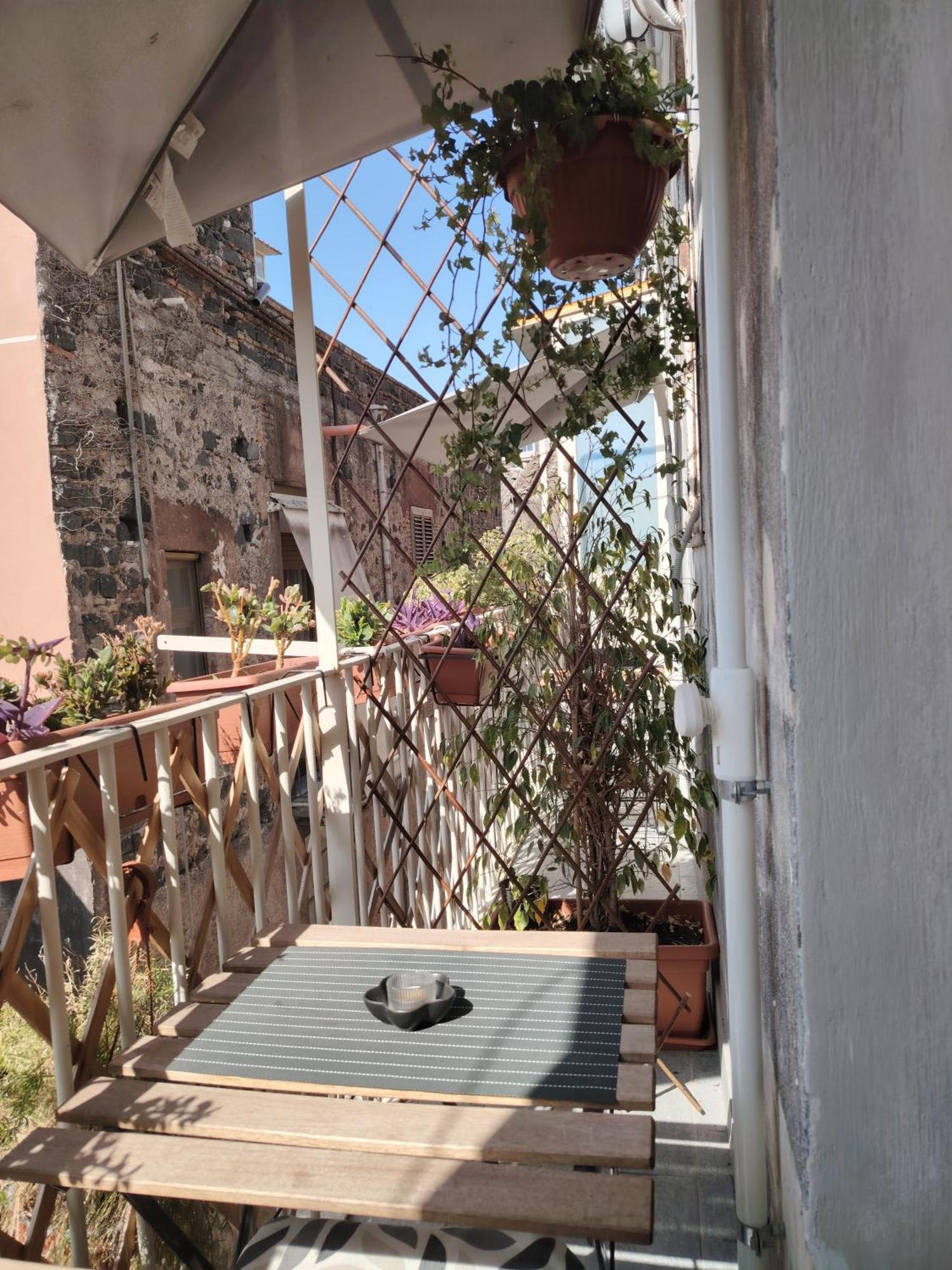Maison d'hôtes Carmen House